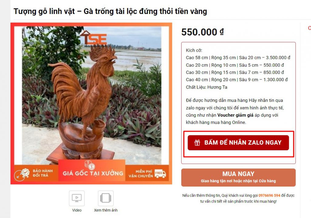 hướng dẫn mua hàng tse